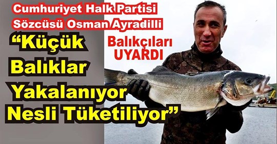 Küçük Balıklara Yaşam Hakkı Tanımıyoruz!