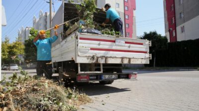 Budama atıkları yeniden toprağa kazandırılıyor