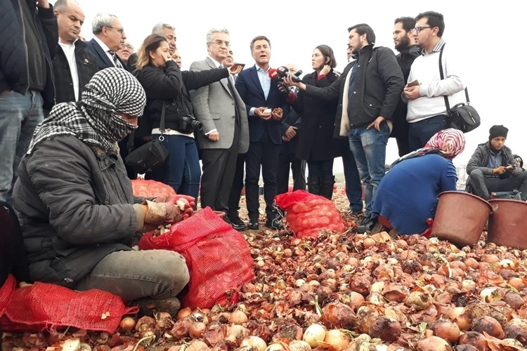 Kuru Soğanı Bile Çürüttünüz!