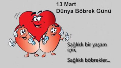 12 Mart 2020 Dünya Böbrek Günü