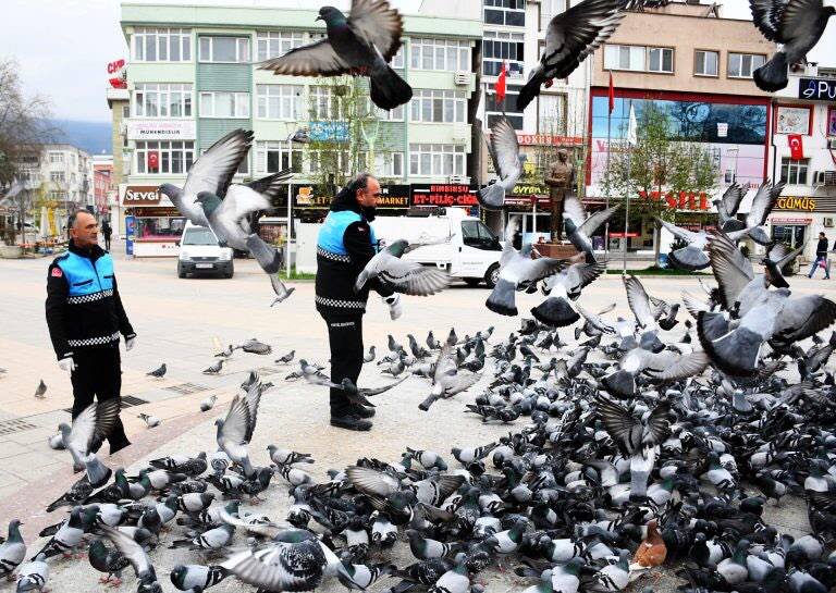 Sokak Hayvanları İçin 1 Ton Mama Dağıtıldı