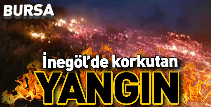 Bursa İnegöl’de korkutan orman yangını