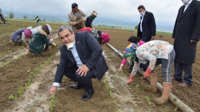 Açlık Korkusu, Salgın Korkusundan Daha Büyük!