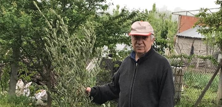 “YETMİŞİNDE BİLE OLSAN ZEYTİN DİKECEKSİN”