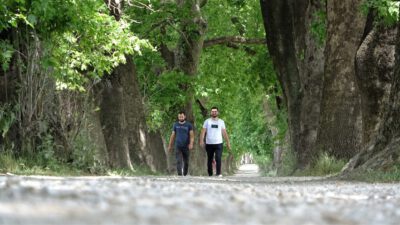 Türkiye’nin Her Yerinden Kestel’e Geliyorlar