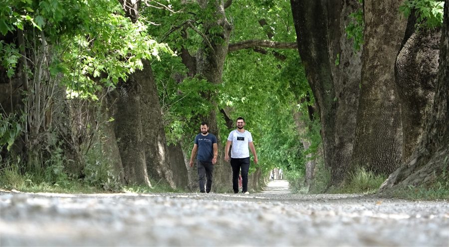 Türkiye’nin Her Yerinden Kestel’e Geliyorlar