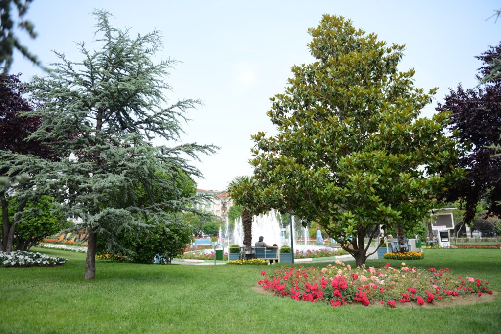 YAZ RENKLERİ YILDIRIM PARKLARINI SÜSLÜYOR