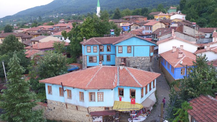 TARİHE AÇILAN KAPI CUMALIKIZIK