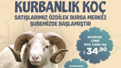 Özdilek’te hijyenik ve güvenilir kurban satışları başladı