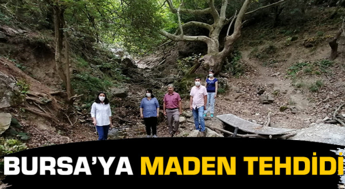Bursa’da asırlık ağaçlar ve su kaynakları maden tehdidi altında