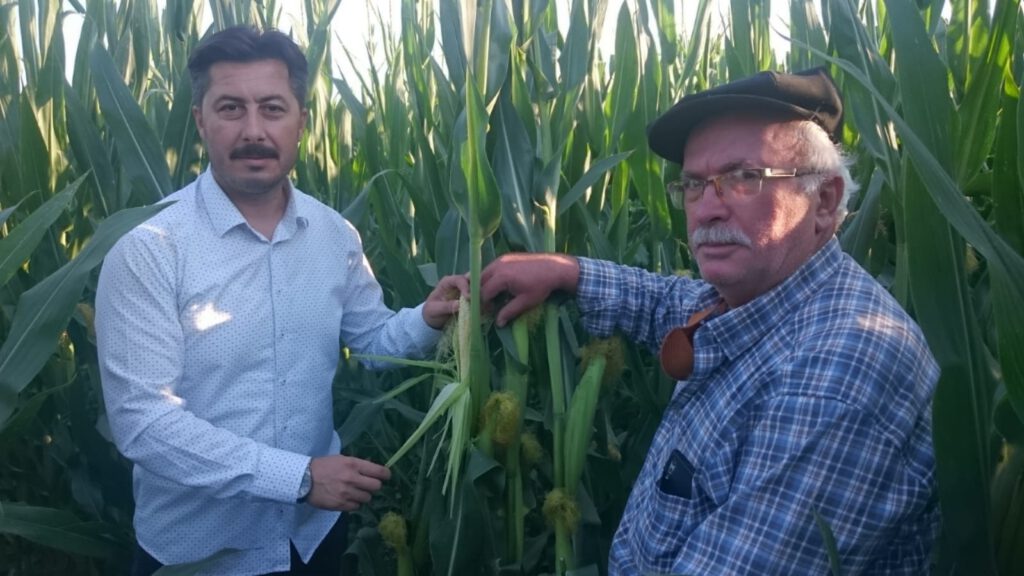 İYİ Partili Özel’den mısır çağrısı: Taban fiyatları revize edilmeli.