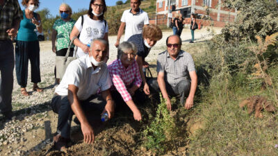 KİRAZLIYAYLA YENİDEN YEŞİL OLACAK