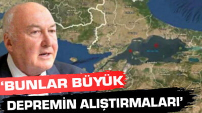 Prof. Dr. Ahmet Ercan: Bunlar büyük depremin alıştırmaları