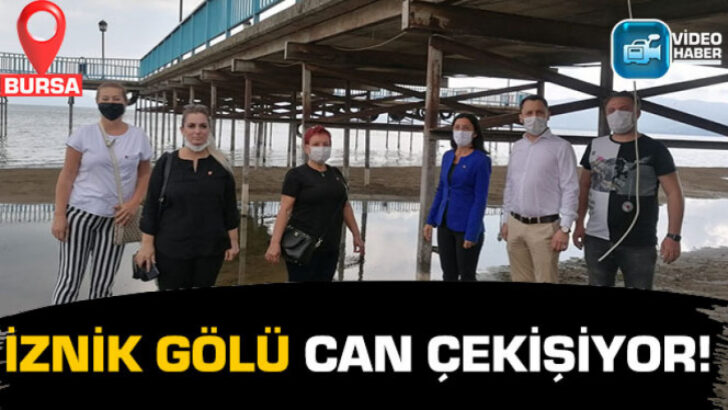 “İznik Gölü can çekişiyor!”