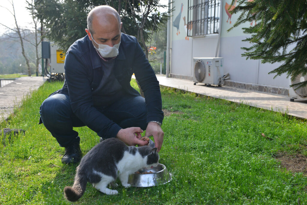 SEVİMLİ DOSTLAR İÇİN BİR KAP SU, BİR KAP MAMA