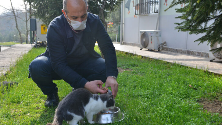 SEVİMLİ DOSTLAR İÇİN BİR KAP SU, BİR KAP MAMA