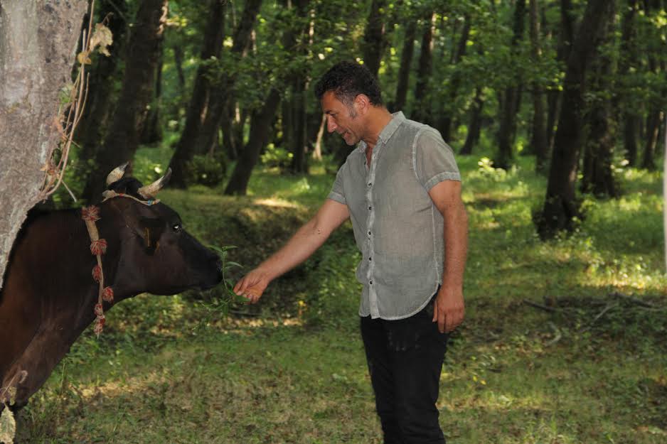 Bizi Süt ve Et Krizi Bekliyor