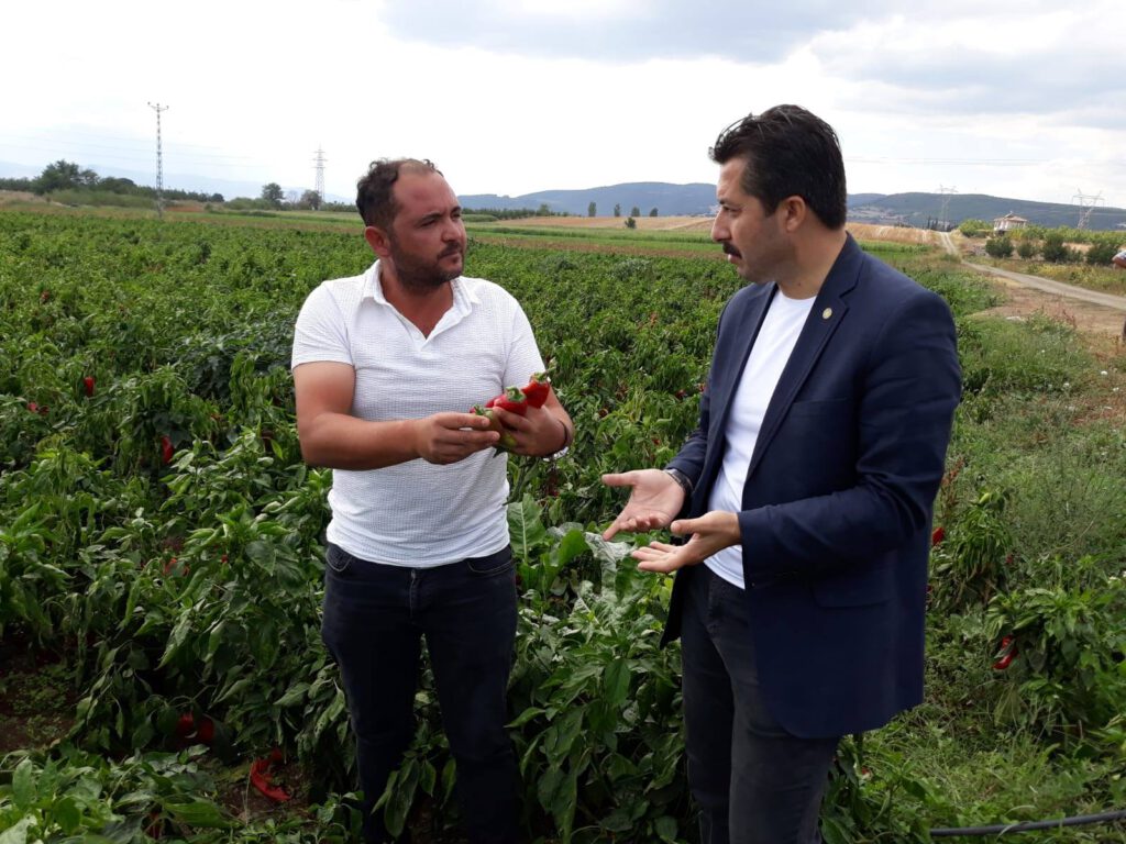Yenişehir Ovasını Yok Etmek Üzeresiniz!