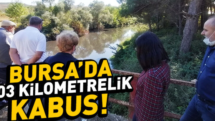 Kokuya Dayanamıyoruz!