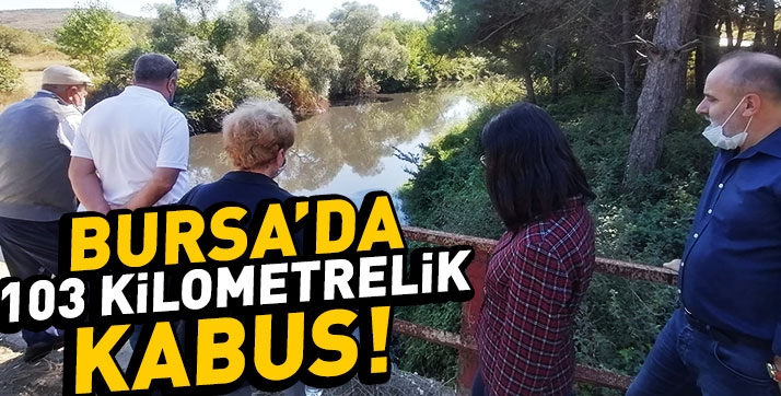 Kokuya Dayanamıyoruz!