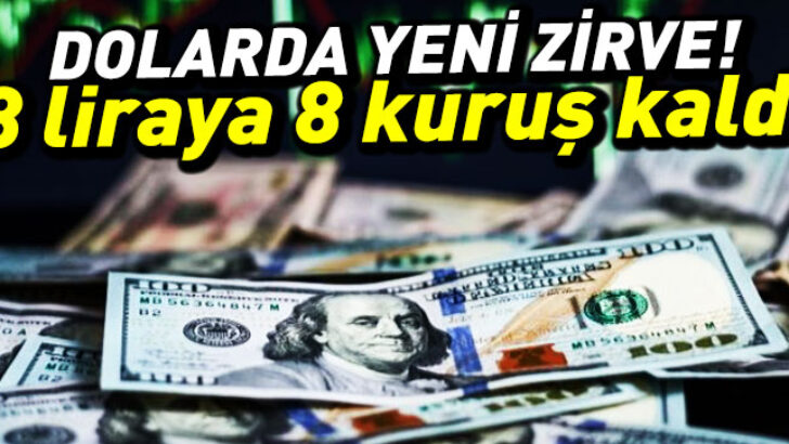 Dolarda yeni zirve! 8 liraya 8 kuruş kaldı