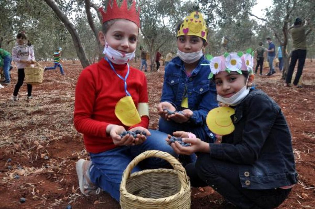 Yetim çocuklar barış ve kardeşlik için zeytin topladı