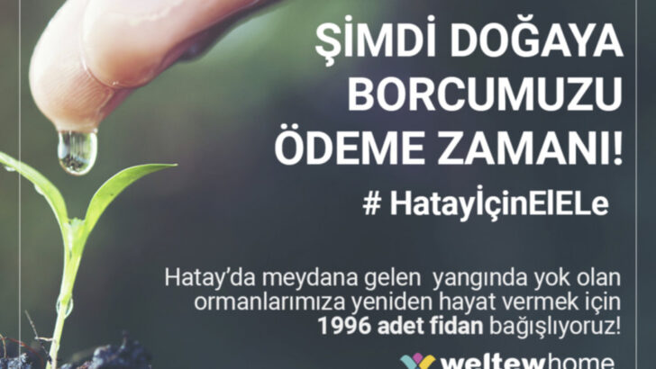 Weltew Home’dan Hatay’a 1996 Adet Fidan Bağışı