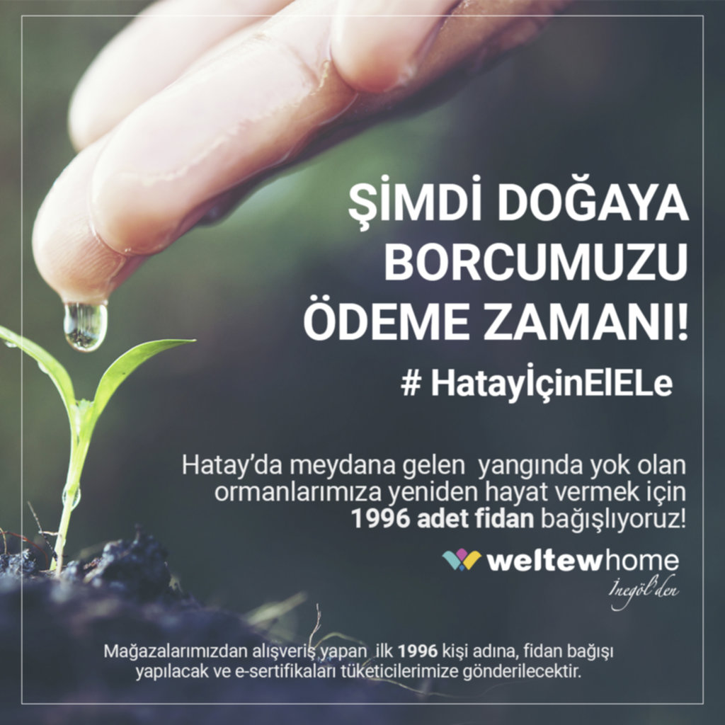 Weltew Home’dan Hatay’a 1996 Adet Fidan Bağışı