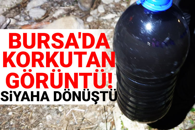 Bursa İznik Gölü’ne akan derenin suyu siyaha büründü