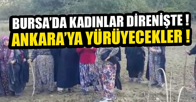 Bursa’da Kirazlıyayla isyanı! Ankara’ya yürüyecekler!