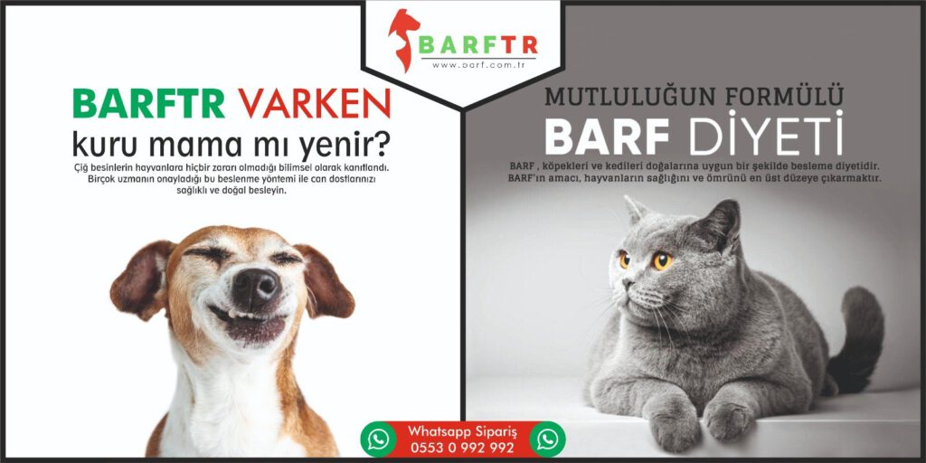BURSA’DA LODOS DEĞİL! BU EVLİ ÇİFTİN RÜZGARI ESİYOR.