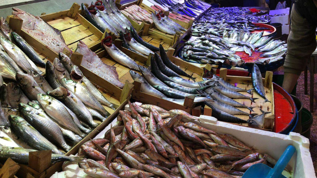 Kış geldi, balık ucuzlamadı…