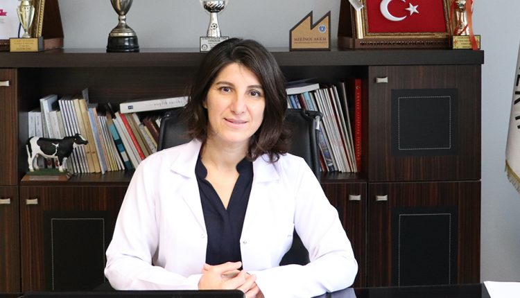 Sahipsiz Can’ların Tek Sorumlusu Belediyelerdir!