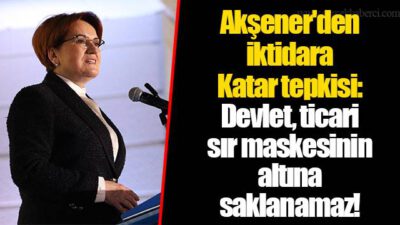 Devlet ‘ticari sır’ maskesinin ardına saklanamaz