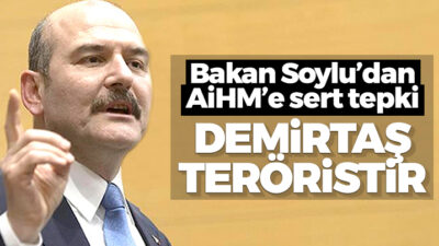 Soylu’dan AİHM’e tepki