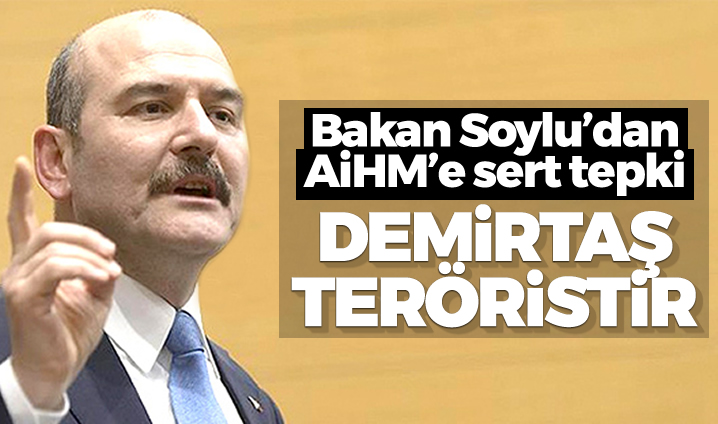 Soylu’dan AİHM’e tepki