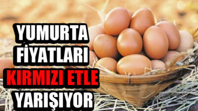 Yumurta kırmızı etle yarışıyor