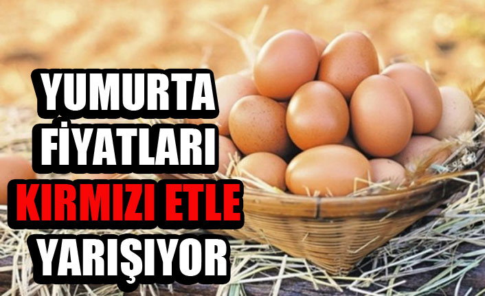 Yumurta kırmızı etle yarışıyor