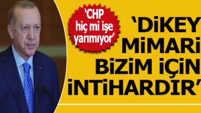 “Dikey mimari bizim için intihardır”