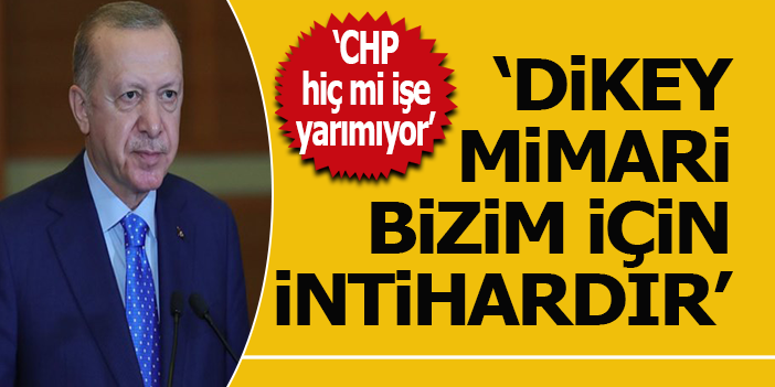 “Dikey mimari bizim için intihardır”