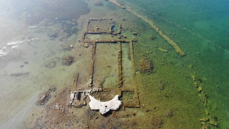 Bursa’daki kuraklık bazilikayı da vurdu… İkinci Göbeklitepe olacaktı, kuşlara yuva oldu