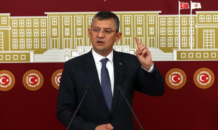 Gelin hayvan hakları yasasını çıkaralım