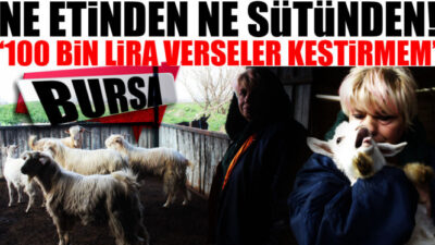 Bursa’da beslediği keçilerin ne etinden ne de sütünden faydalanıyor