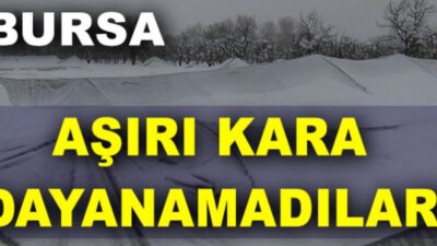 Bursa’da aşırı kara dayanamayan seralar çöktü