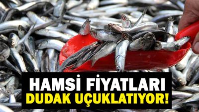 Hamsinin fiyatı dudak uçuklattı…