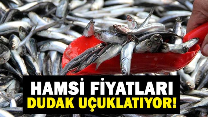 Hamsinin fiyatı dudak uçuklattı…