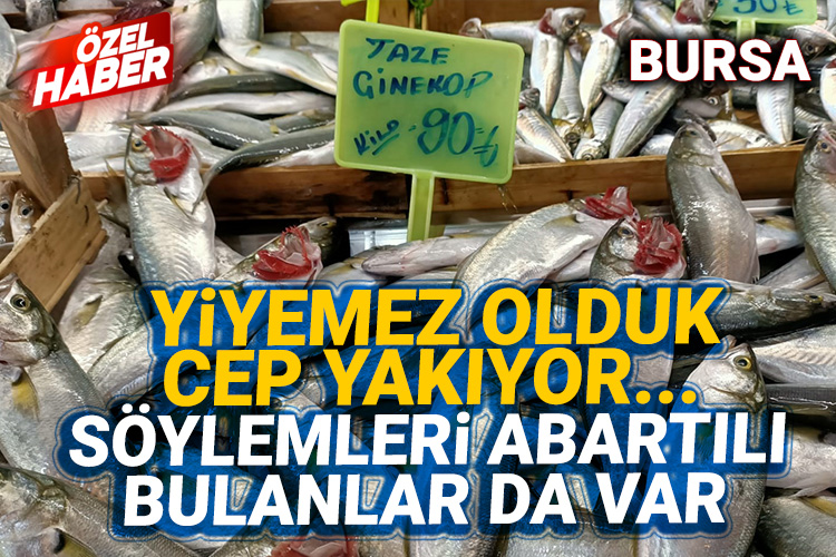 Çinekop vatandaşın cebini yakıyor!