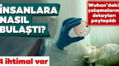 Koronavirüs insanlara nasıl bulaştı?