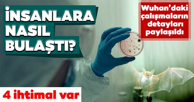 Koronavirüs insanlara nasıl bulaştı?