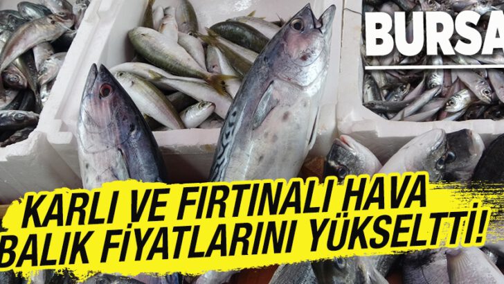 Karlı ve fırtınalı hava, Bursa’da balık fiyatlarını yükseltti